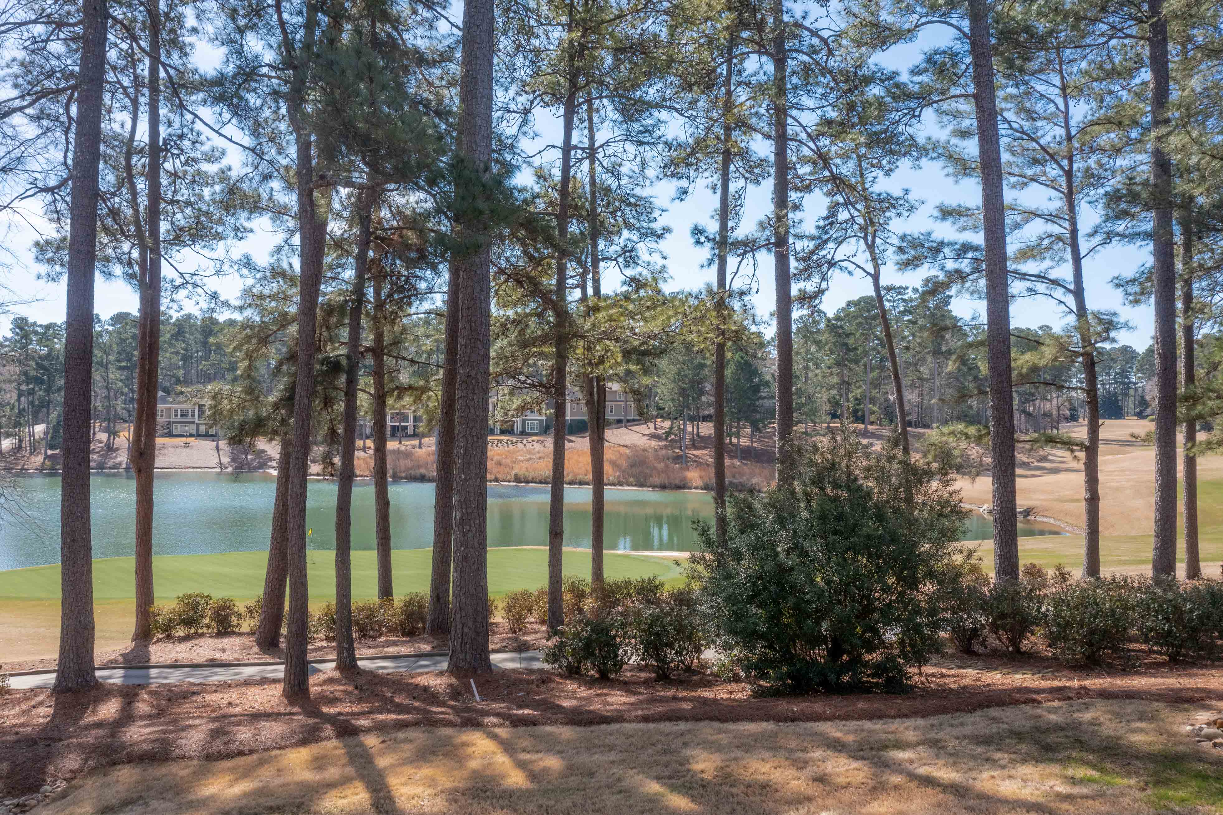 1071 Olde Chapel Lane image 35